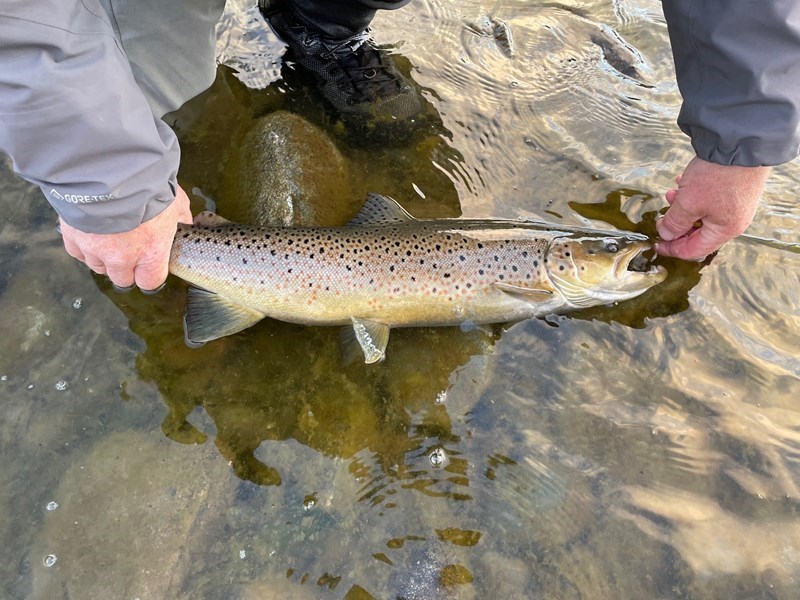 🎣 Septemberfiske – sesongens siste muligheter