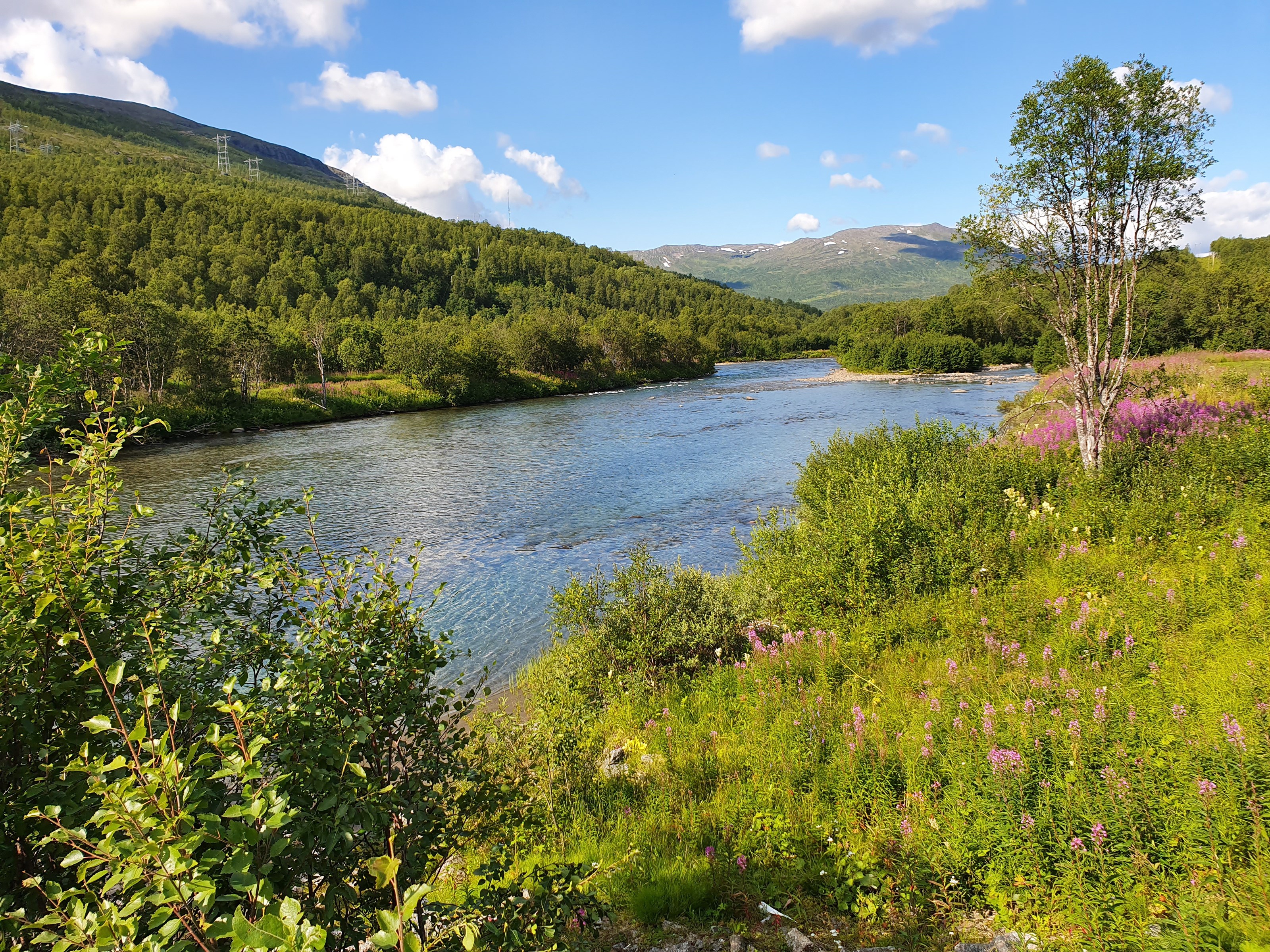 Kj p Fiskekort For Laksefiske Og Se Lakseb rsen For Salangsvassdraget kj-p-fiskekort-for-laksefiske-og-se-lakseb-rsen-for-salangsvassdraget