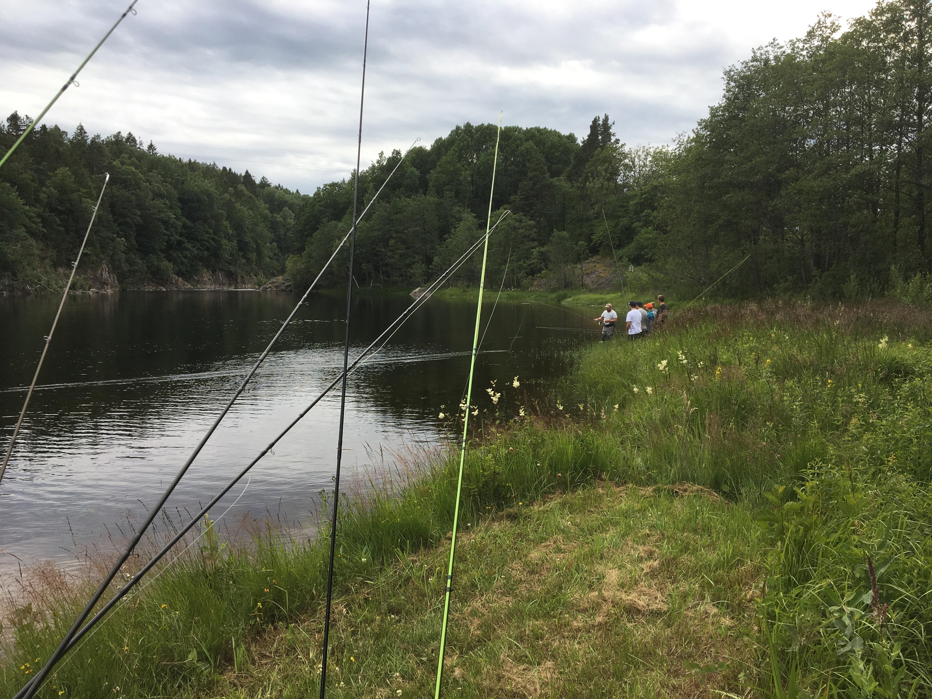 ᐅ Nidelva fishing reports🎣• Sor-Trondelag, Norway fishing