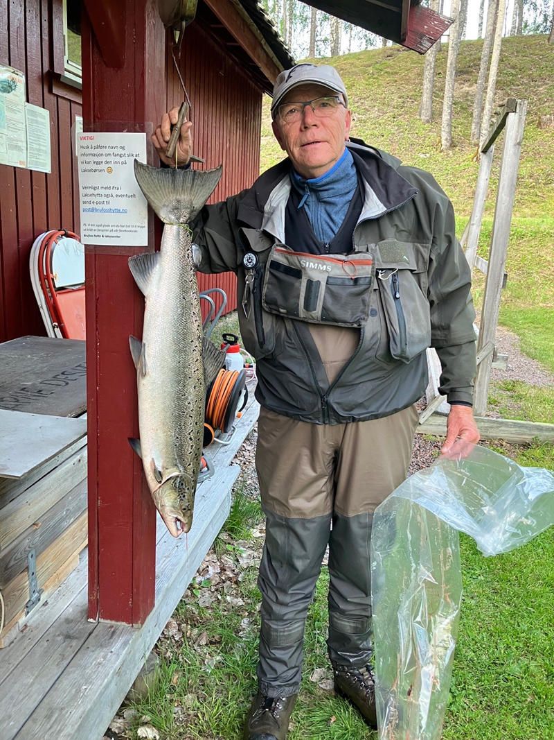 LAKSEBØRSEN - fangst i vald Hårråøya